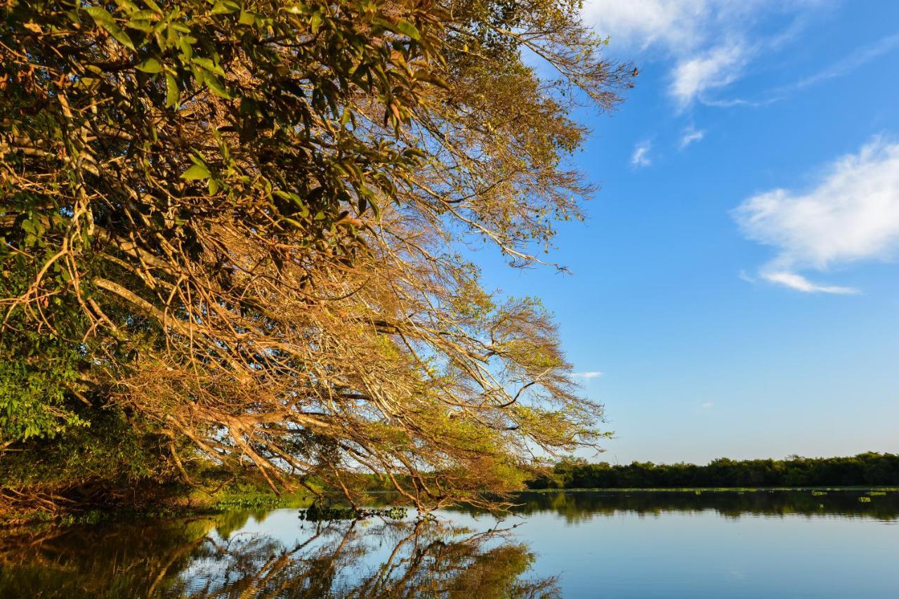 Pousada Rio Claro Poconé Esterno foto